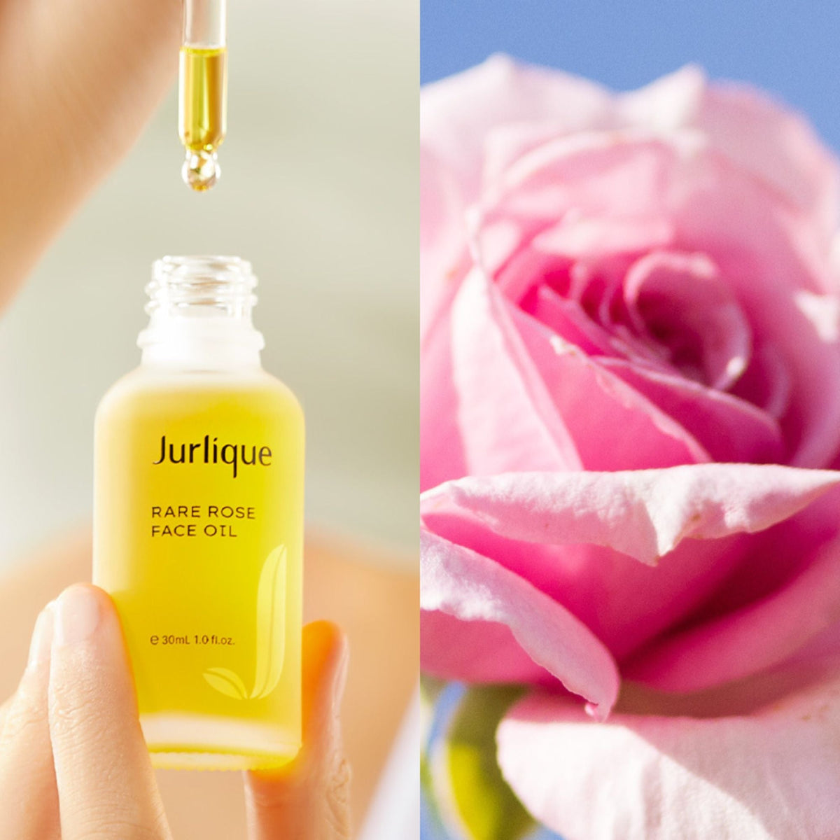 Rare rose Face Oil (NEW 2026)