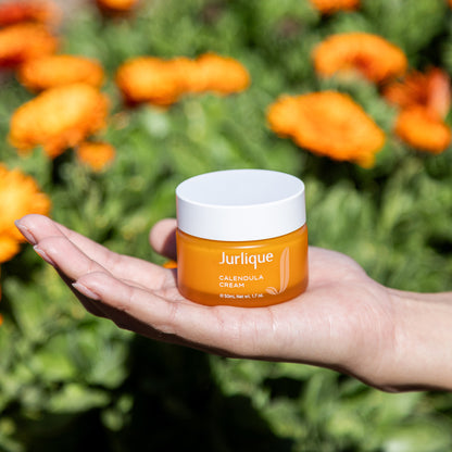Calendula Cream