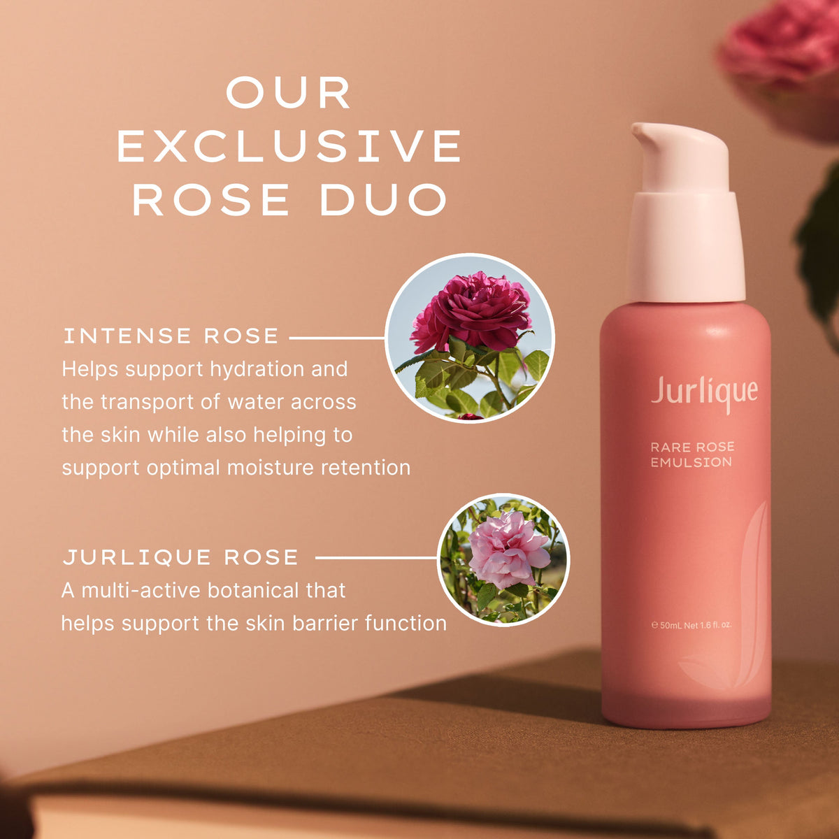 Rare Rose Emulsion (NEW 2026)